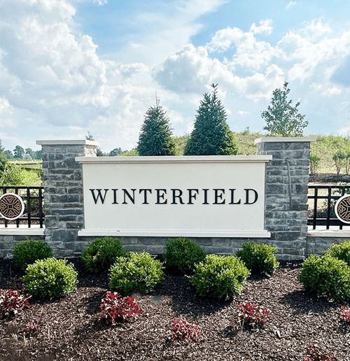 Winterfield