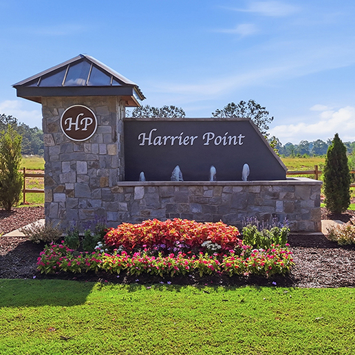 Harrier Point